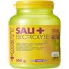 +WATT Sali+ Electrolyte 500 grammi Arancia