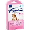Fipralone Spot-on Gatto