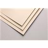 Clairefontaine Rhodia Clairefontaine 696166C Paquet Papier Pastelmat - 5 Feuilles Carte