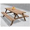 TAVOLO PICNIC CON PANCHE 71X160X180