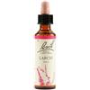 Bach Flower Remedies Larch N.19 Gocce 20 Ml