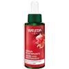 Weleda Siero Viso Rassodante 30 Ml