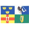 AZ FLAG Bandiera Irlanda 4 province 90x60 cm Poliestere 100D 2 Occhielli | Uso interno ed esterno bandiera decorativa irlandese Ireland 4 provinces doppie cuciture e bordi rinforzati