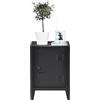 FurnitureR Armadietto portaoggetti per ufficio, unità di stoccaggio, piccolo armadio in metallo con ante a filo, 2 scomparti, per garage, ufficio, nero