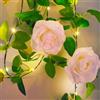 Fielegen Ghirlanda di fiori artificiali con 20 luci a LED, 2 metri da appendere, ghirlanda di fiori rampicanti per giardino, matrimoni, tavoli, feste di compleanno, Natale, decorazioni fai da te