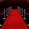 mosegor Tappeto rosso 10 x 1 m VIP passatoia 2,2 mm di spessore Red Carpet Matrimonio Evento Tappeto Natale Outdoor Tappeto Ricevimento per Feste, Cerimonia