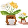 Huanmin Pocket Hug Dimenticare-Me-Fiori Regali - Patate Positive Tedesco Sostituzione, Regalo Mutmacher, Buon Miglioramento Regalo, Inizio della Scuola (6 Giallo Dimenticare-Me)