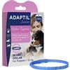 Adaptil - Collare Junior regolabile per cuccioli, ha dimostrato di aiutare a ridurre il pianto notturno, fornisce conforto quando sono a casa da soli, adatto per l'allenamento e la socializzazione