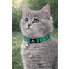 Flamingo collare gatto - gattino Elza verde 15-22 cm - nylon elastico riflettente con campanellino