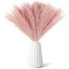 Wekuw 30 Pezzi Pampas Decorative,Piume Decorative Fiori Secchi Decorativi,Piume Decorative per Vaso,Fiori Secchi Decorativi per Vaso per Arredamento Casa Arredamento Boho Matrimonio (Rosa)