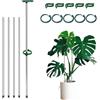 HZHSSG Supporto Per Piant, Tutori per Piante Regolabile da 28 a 52 cm con Clip Sostegno Piante per Uso Interno ed Esterno, Tutori da Giardino per Orchidee, Pomodori, Verdure, Monstera e Piante Rampicanti