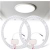 BYZESTY Modulo LED per Plafoniera, Anello 36W Bianco 6000K con Set di Conversione per Plate ad Anello, Ø 23 cm - 2 Pezzi per Scheda Retrofit Ricambio