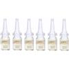 Cbn Concentre Radiance Ampoules