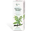 CAIRA BARDANAMENTIS Macer.50ml - - 930404862