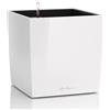 LECHUZA CUBE Premium 30 bianco lucido 16460