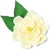 Sizzix Thinlits Die Set 4PK Gardenia di Jennifer Ogborn | 665885 |Capitolo 2 2022