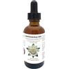Best Nature's Cosmetics Bhringraj Oil - Olio puro indiano Eclipta Alba per la crescita dei capelli, forfora e ingrigimento precoce - Detergente naturale del cuoio capelluto - Hello Luminous, Shiny