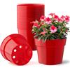 RooTrimmer Vasi per fiori in plastica con diametro superiore di 15 cm, confezione da 20 pezzi, colore rosso brillante, 20 vassoi per la raccolta dell'acqua, piattini e 20 reti a blocchi di terreno