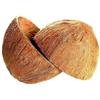 Sri Care Ciotola in cocco naturale a metà guscio di cocco per artigianato o mangiatoia per animali domestici e candele e decorazioni natalizie e Halloween (2 con fibra)