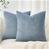 Topfinel Set di 2 Copricuscini 45x45 Blu-grigio a coste con motivo a righe Copricuscini decorativi Cuscini per divano Cuscini per il collo Cuscini per il divano Cuscini decorativi per il