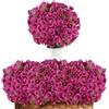 ddckj Fiori Finti da Esterno 8 Mazzi Piante Artificiali da Esterno Petunie Resistente ai raggi UV Outdoor Decor Suitable for Home Gardens, Balconi, and Porches