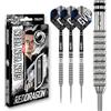 RED DRAGON Darts - Giocatore Professionista - Gian Van Veen Tour Edition - 90% Tungsteno - 18g Barile / 20g Peso Pieno Punta Morbida Set di Freccette con voli e aste per Freccette