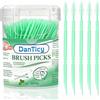 DanTicy Flavored Toothpicks Mint for Fresh Breath, BPA Free Plastic Toothpicks, Portable Menta Toothpicks for Oral Care, 300 conteggi