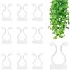 Aohyue Clip autoadesive per piante rampicanti, 50 pezzi, clip per fissaggio a parete, ganci adesivi per piante da giardinaggio, supporto per piante