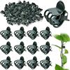 CHONGQILAO Clip di Supporto per Orchidee, 100 Pezzi Clip di Supporto per Piante, Mollette per Orchidee, Clip per Piante Rampicanti, per Sostenere e Fissare Piante Rampicanti, Pomodoro, Ortaggi e Fiori