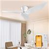 HaoDrisk 100 CM-Ventilatore da Soffitto con Luce con Telecomando, 60 W Ventilatore da Soffitto Silenzioso 6 Velocità Reversibile, Ventilatore da Soffitto Lampada Dimmerabile Timer per Camera da Letto Soggiorno