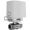 Ajax Valvola d'intercettazione dell'acqua intelligente wireless WaterStop (1" valve) - 52267