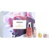 DARPHIN DIV. ESTEE LAUDER DARPHIN Intral Gioielli Botanici Cofanetto Trattamento Lenitivo Viso