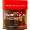 La Giardiniera di Morgan - L'Insolita Giardiniera Fumè - 410ml