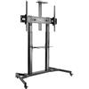 Speaka Professional SP-TVC-600 - Carrello per TV regolabile in altezza, allungabile, inclinabile, 152,4 cm (60) - 254,0 cm (100) altezza