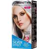 Blond Time Prodotto Sbiancante dei Capelli D'effetto Silver Effect Professional