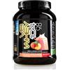 NET Integratori VB WHEY 104 9.8 Optipep - 450g Tè Alla Pesca - Proteine Isolate Idrolizzate per via Enzimatica Con EAA e BCAA - Massimizza Sintesi Proteica, Crescita e Mantenimento Muscolare