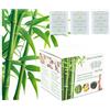 Miucoguier 100 Pezzi Cerotti Detox Piedi Elimina Tossine - 100% Naturali Cerotti Disintossicanti Piedi, Detox Foot Pads per Pulizia Profonda, Rimozione Tossine, Sollievo Stress e Sonno Rigenerante