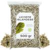 EPEL Muschio Marino Islandese 500 g - Lichene Islandese - Tè al Lichene Islandese - Infuso di Lichene Islandese - Lichene Islandese in Blocco (500 gr)