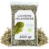 EPEL Muschio Marino Islandese 200 g - Lichene Islandese - Tè al Lichene Islandese - Infuso di Lichene Islandese - Lichene Islandese in Blocco (200 gr)