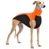 PUMYPOREITY Maglietta per Whippet, Cotone Felpa Levrieri Italiani Camicia Whippet Traspirante Canotta Gilet Sportivo Senza Maniche Leggero Vestito Levrieri Italiani Felpa Elastico per Clima Mite(Arancione, M)