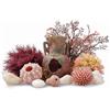 biOrb Decor Set Vaso Perso 15L