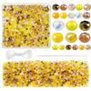 TOAOB THE ONE AND ONLY BABY TOAOB 1000 Pezzi Perline di Vetro di Cristallo Sfaccettato 4mm 6mm 8mm Serie Oro Perle Cristallo Ceco Rondella per Braccialetti Bigiotteria Gioielli Fai da Te Collane