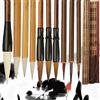WSNDM 10pcs-Set Pennello Per Calligrafia Cinese, Kanji Giapponese Sumi Pennello Da Disegno, Per Scrivere i Caratteri Cinesi, Adatto Per Inchiostro e Pittura Ad Acquerello