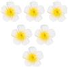 Gaqnzjx 100 pezzi di schiuma bianca hawaiana Frangipani, plumeria, fioritura, , ghirlanda fai da te, decorazione per matrimoni, 5 cm