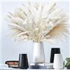 XMLDSBBD Fiori Secchi Decorativi,Erba Della Pampas Decorative 70 Pezzi Set di Erba di Pampa Naturale Fiori Secchi Decorativi per Matrimoni, Feste, Boho Decor