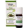 Gisa Wellness - PINO MARITTIMO - Olio Essenziale Bio - 100% Puro e Naturale - [10ml] - Alimentare - Aromaterapia - Cura della Persona - Benessere - Made in Italy
