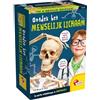 Liscianigiochi Lisciani - Set completo con scheletro e modelli anatomici, per bambini dai 7 ai 12 anni, versione tedesca