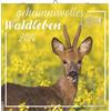 Alpha Edition - Segreti della Vita nel Bosco Calendario 2026 - Calendario da Parete 30x30 cm - Per Amanti della Natura - 12 Splendide Fotografie di Animali della Foresta, Molto... Giorni Festivi e