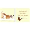 Pro-Art-Bilderpalette PRO-Art glaset2d824825 - Dipinto murale, Arte su Vetro, Mix & Match Duo Herz Auf Vier Beinen, 2 x 20 x 20 cm