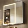 KWW LED Illuminato Bagno Medicine Cabinet con Specchio, Temperatura di Colore Regolabile, Luci Dimmabili Anti-Nebbia, Outlet & USBs (2 ante-75×70)